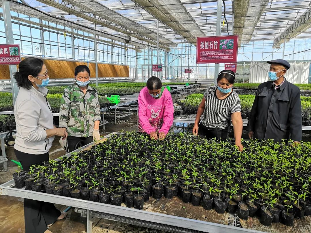 【李娜娜】富蕴县纪委监委运用“互联网+”模式运行“小微权力”网络监督平台,让广大群众人人知晓流程、共同参与监督,让权力公开透明。图为该县库尔特乡阿舍勒村监察信息员深入温室大棚了解村干部履职情况。(富蕴县纪委监委 丁文 摄).jpg