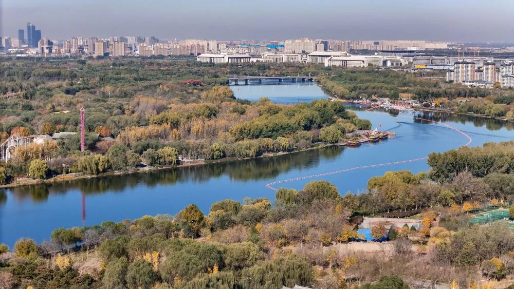 1772162701290001148.jpg 4655f34ba9ab9aa5b66254ccc9078b3d.jpg