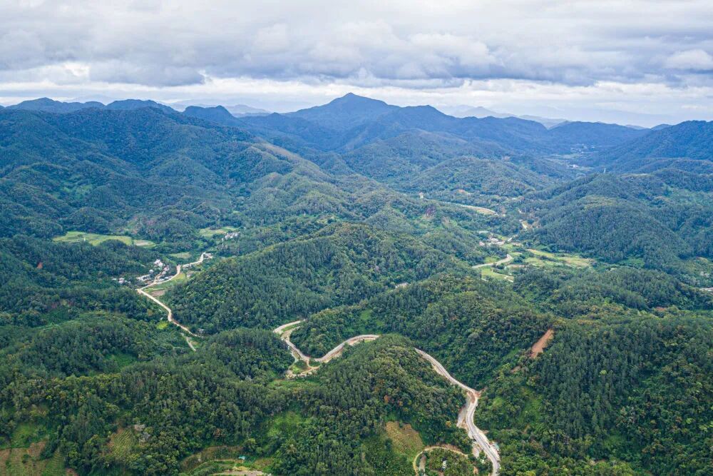 1772162725699095945.jpg 2d83f4376d70570cf1666d0877fa6274.jpg