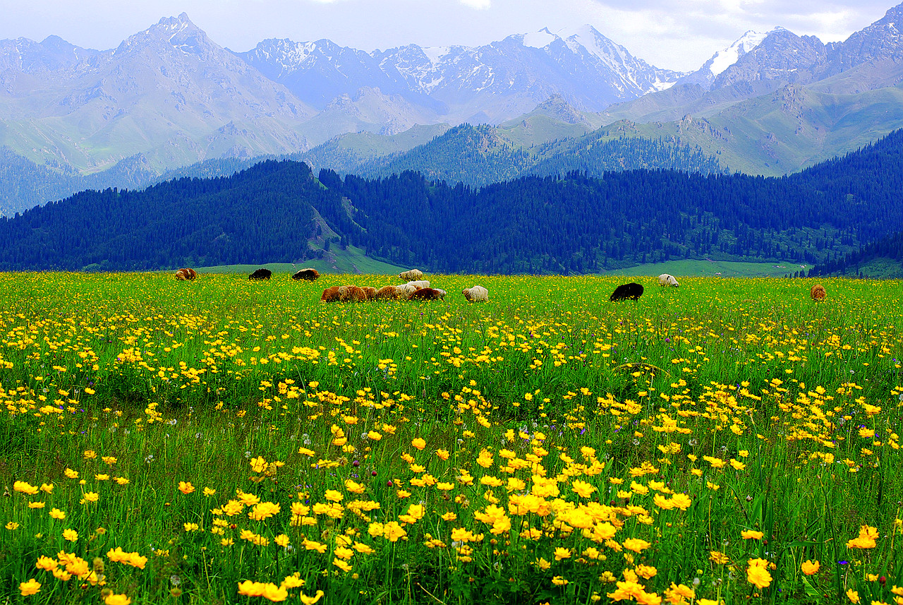 深化专项治理扶贫领域腐败和作风问题 - 和田地区纪委监委网站专题